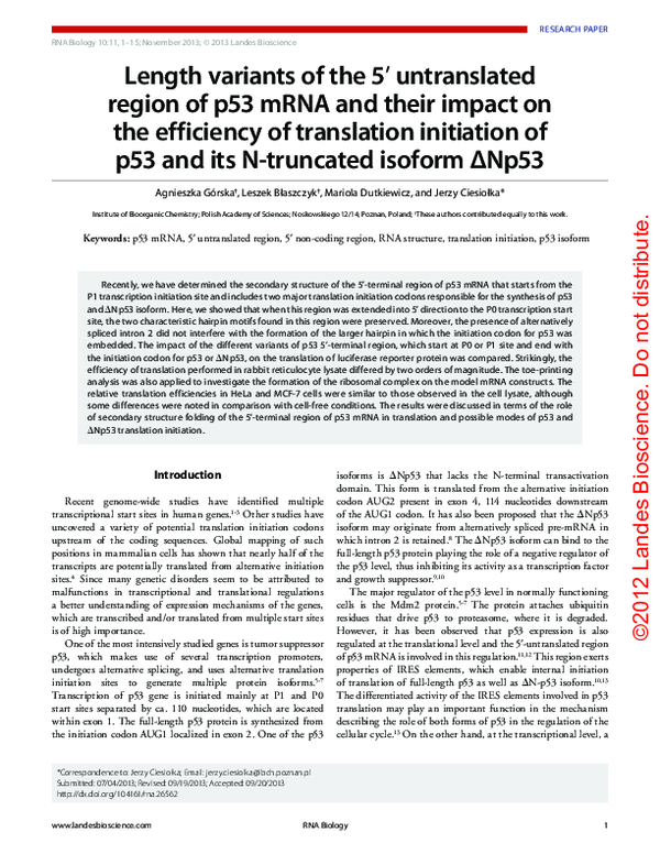 (PDF) Length variants of the 5′ untranslated region of p53 mRNA and ...