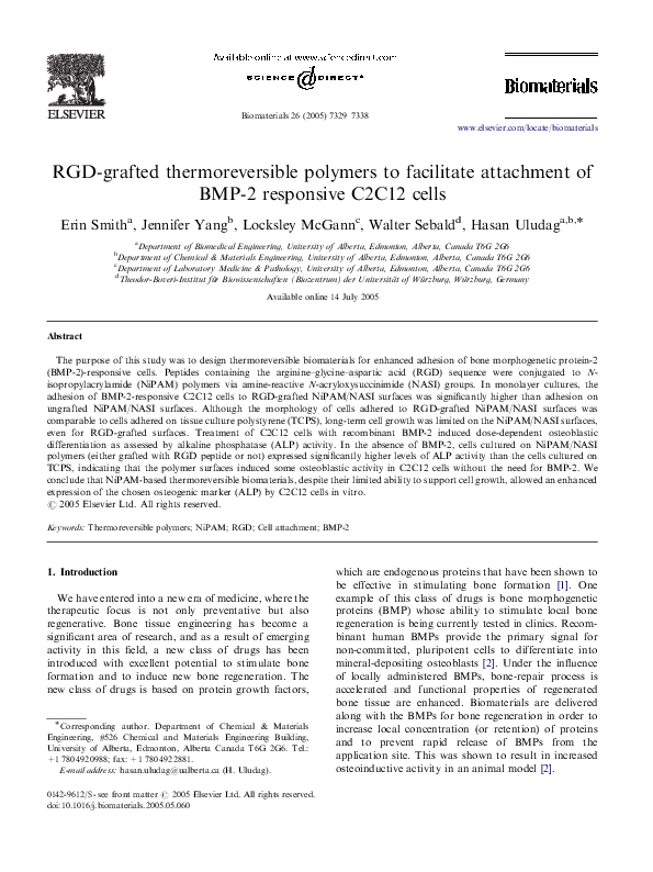 Bmp term paper 02 picture
