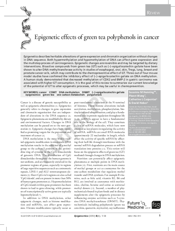 Epigenetics essay picture