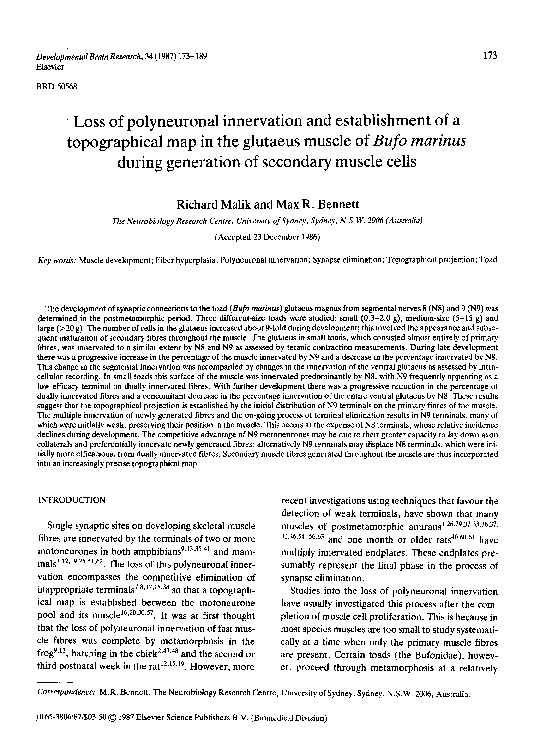 (PDF) Loss of polyneuronal innervation and establishment of a ...