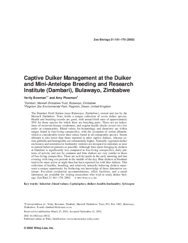 Saiga antelope image