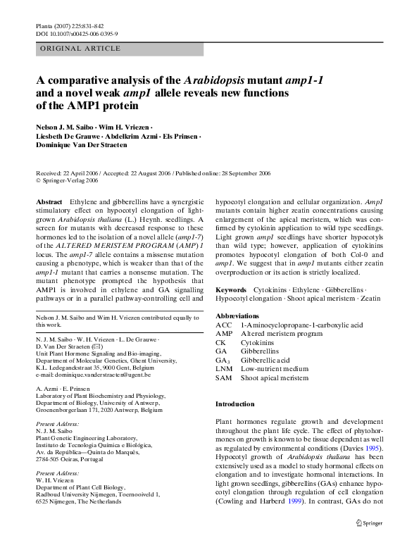 (PDF) A comparative analysis of the Arabidopsis mutant amp1-1 and a ...