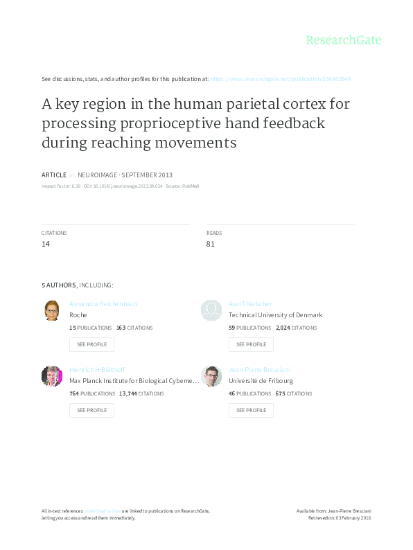 (PDF) A key region in the human parietal cortex for processing ...