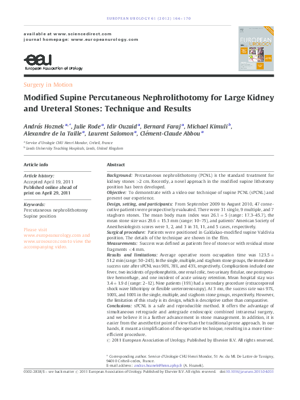(PDF) Modified Supine Percutaneous Nephrolithotomy for Large Kidney and ...