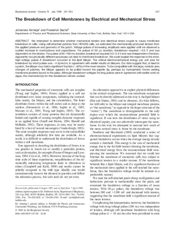 (PDF) The Breakdown of Cell Membranes by Electrical and Mechanical Stress