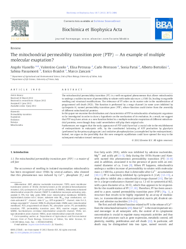 (PDF) The mitochondrial permeability transition pore (PTP) — An example ...