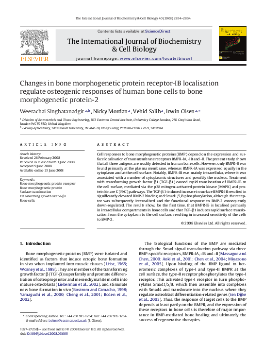(PDF) Changes in bone morphogenetic protein receptor-IB localisation ...