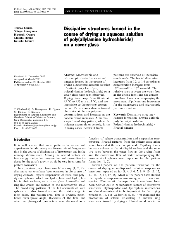(PDF) Dissipative structures formed in the course of drying an aqueous
