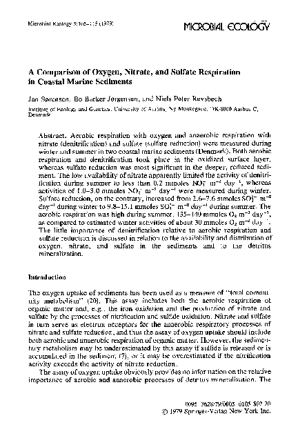 (PDF) A comparison of oxygen, nitrate, and sulfate respiration in ...
