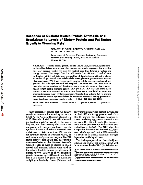 (PDF) Response of Skeletal Muscle Protein Synthesis and Breakdown to ...