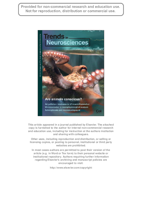 Animal consciousness: a synthetic approach