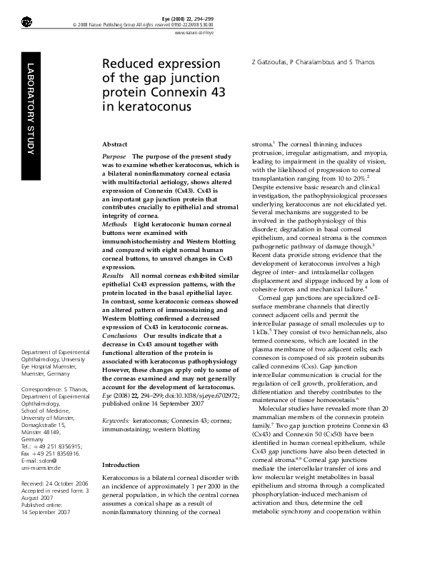 Keratoconus essay picture