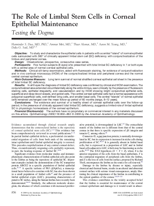 (PDF) The Role of Limbal Stem Cells in Corneal Epithelial Maintenance