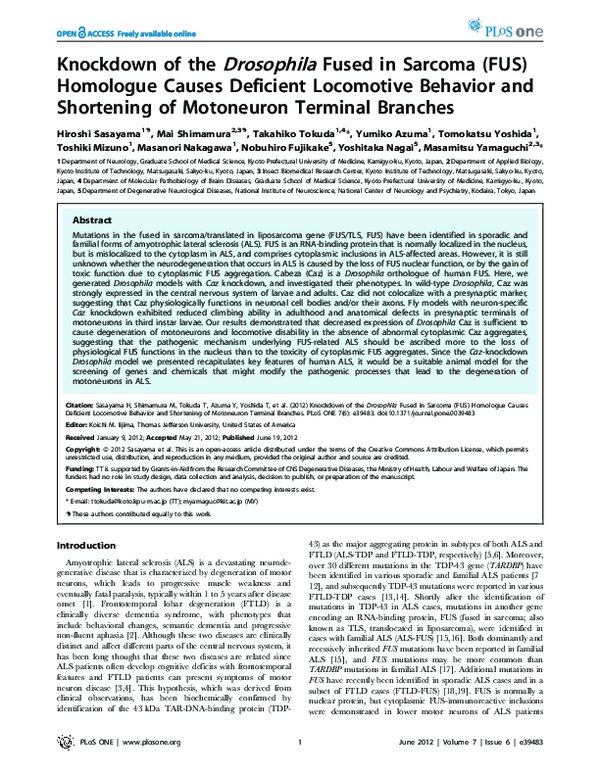 (PDF) Knockdown of the Drosophila Fused in Sarcoma (FUS) Homologue ...