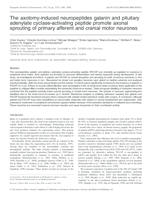 (PDF) The axotomy-induced neuropeptides galanin and pituitary adenylate ...