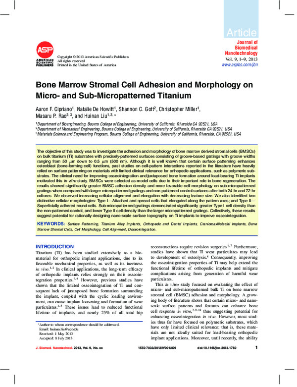 (PDF) Bone Marrow Stromal Cell Adhesion and Morphology on Micro- and ...