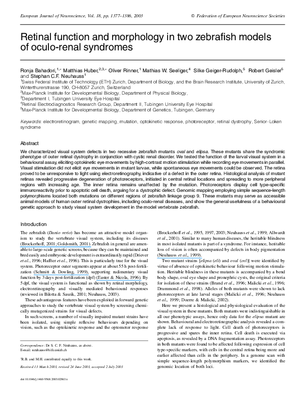 (PDF) Retinal function and morphology in two zebrafish models of oculo ...