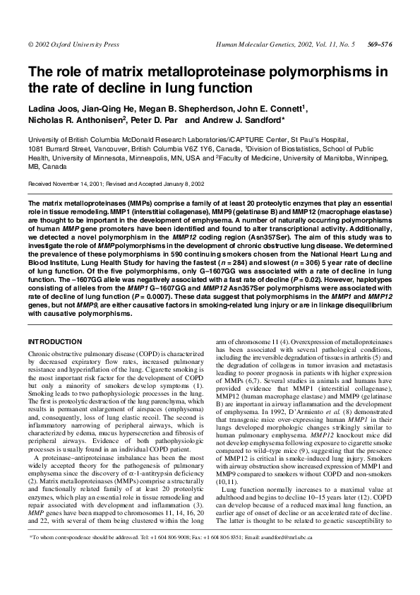 (PDF) The role of matrix metalloproteinase polymorphisms in the rate of ...