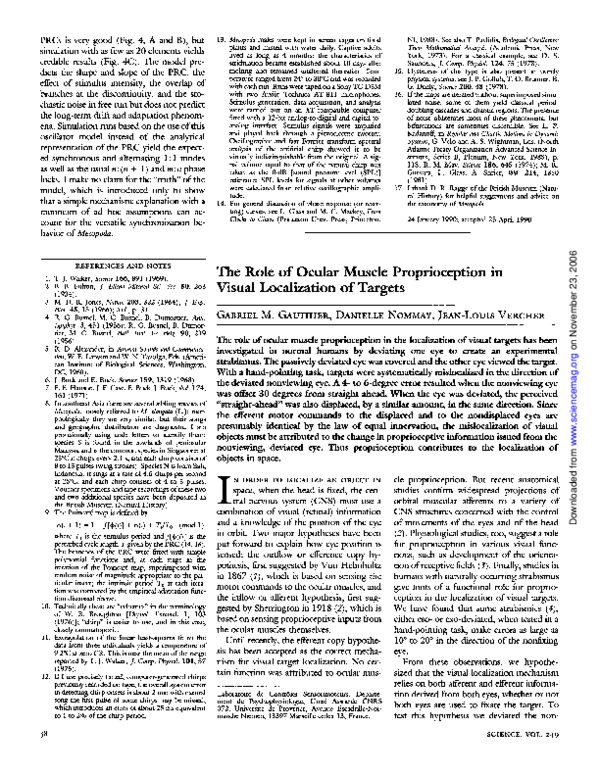 (PDF) The Role of Ocular Muscle Proprioception in Visual Localization ...