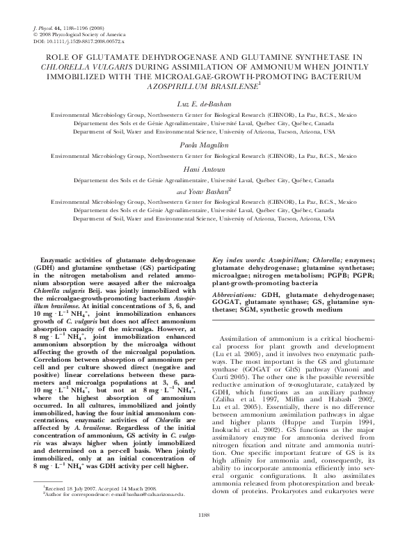 (PDF) Role of Glutamate Dehydrogenase and Glutamine Synthetase in ...