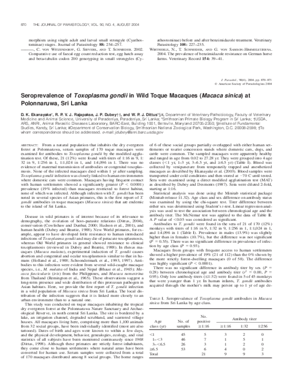 Polonnaruwa information picture