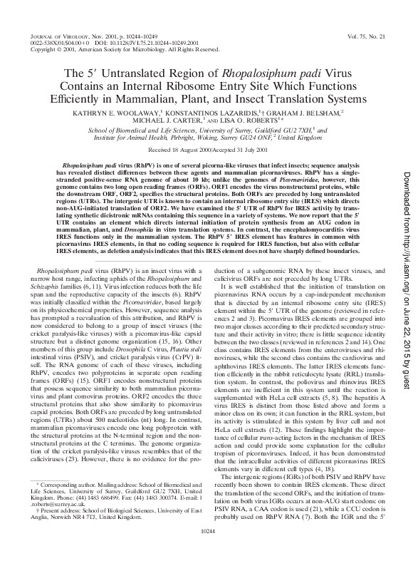 (PDF) The 5' Untranslated Region of Rhopalosiphum padi Virus Contains ...