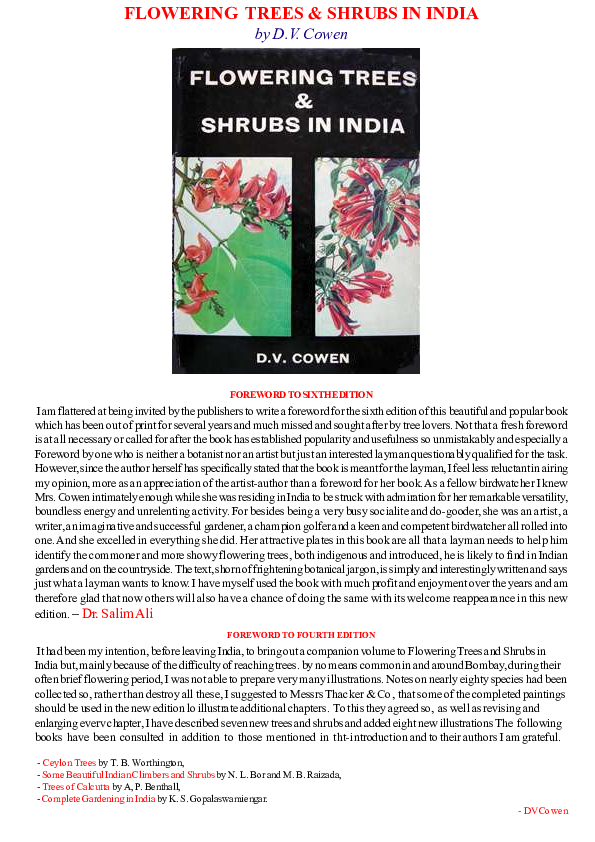 Drumstick Flowers Meaning In Urdu Best Flower Site