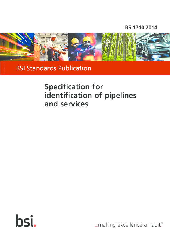 (PDF) BSI Standards Publication Specification for identification of