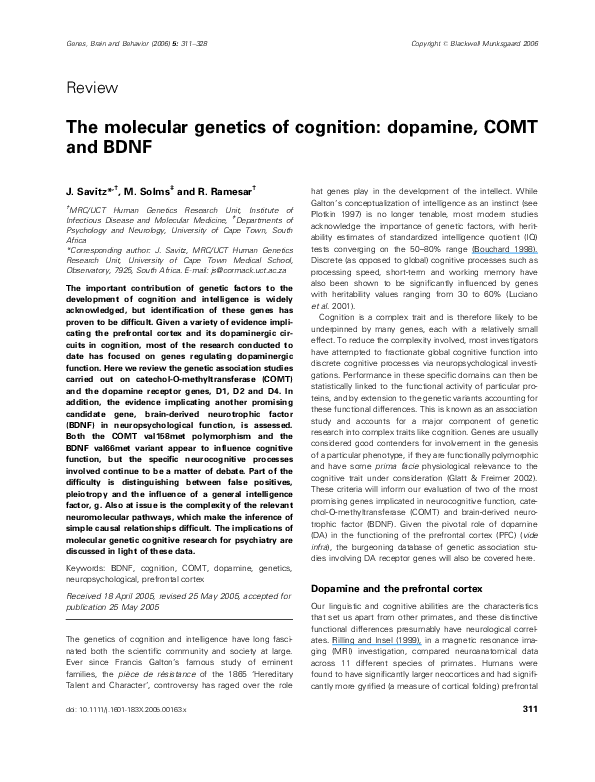 (PDF) The molecular genetics of cognition: dopamine, COMT and BDNF ...
