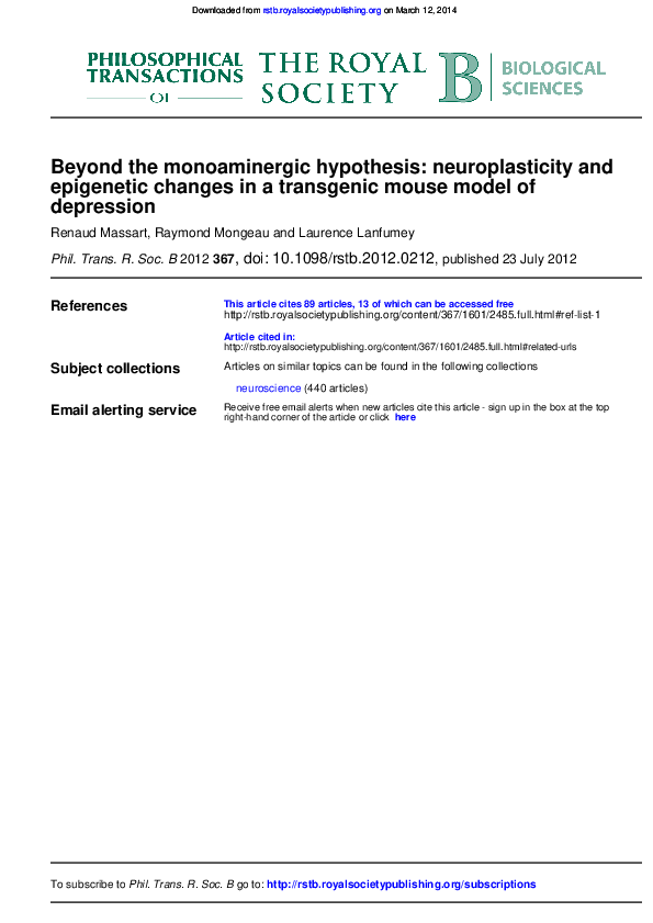 (PDF) Beyond the monoaminergic hypothesis: neuroplasticity and ...