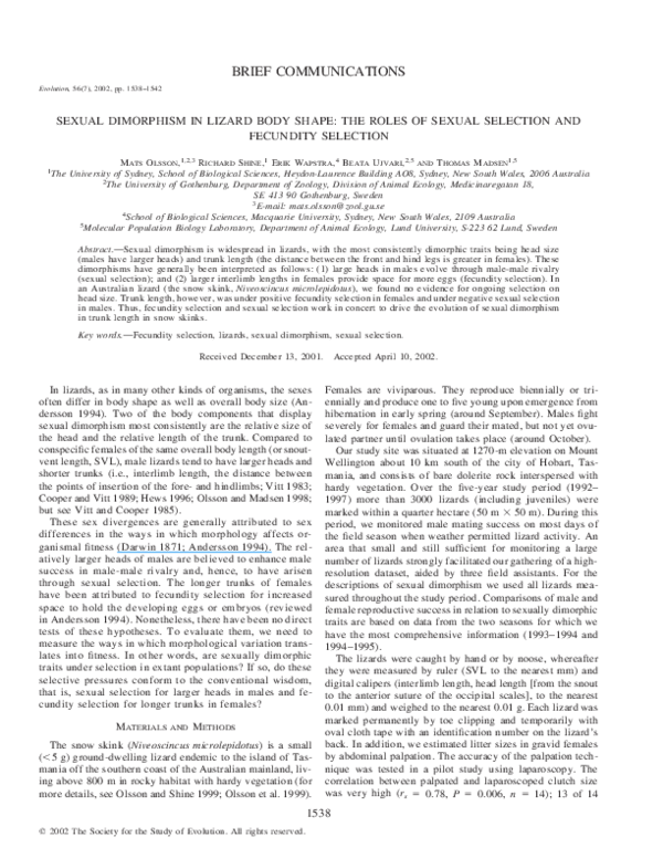 (PDF) SEXUAL DIMORPHISM IN LIZARD BODY SHAPE: THE ROLES OF SEXUAL ...