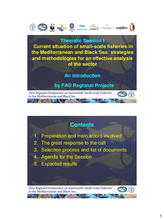 (PDF) Thematic Session I Current situation of small-scale fisheries in ...