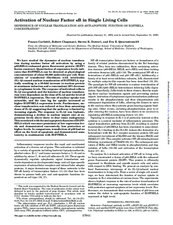 (PDF) Activation of Nuclear Factor kappa B in Single Living Cells ...