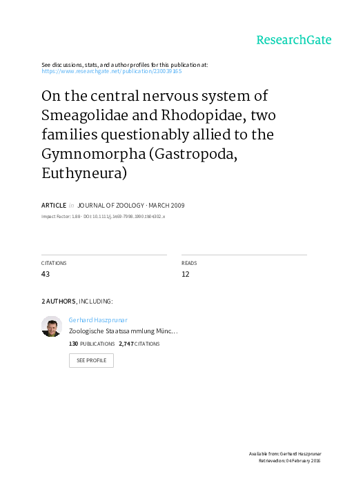 (PDF) On the central nervous system of Smeagolidae and Rhodopidae, two