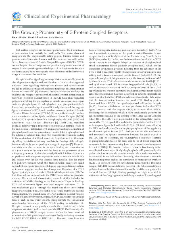 Essay on promiscuity 05 image