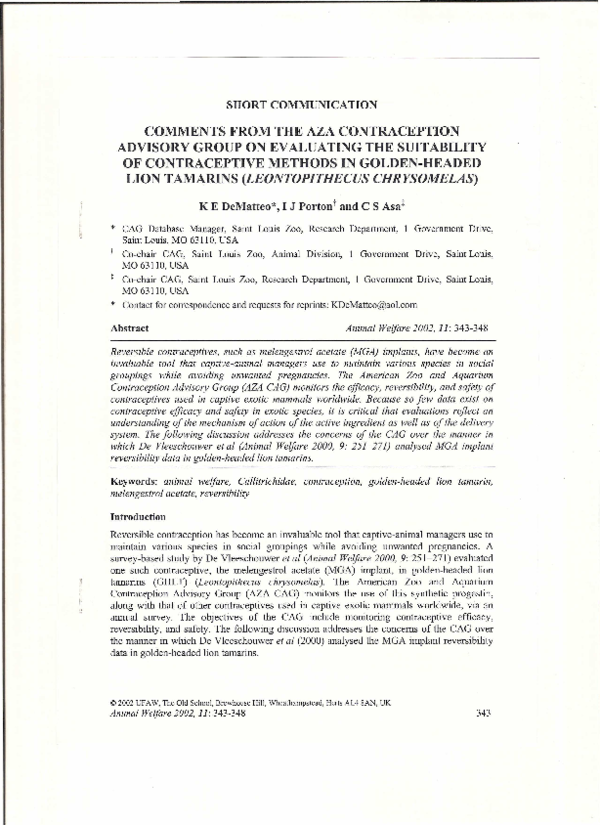 Golden lion tamarin life span image