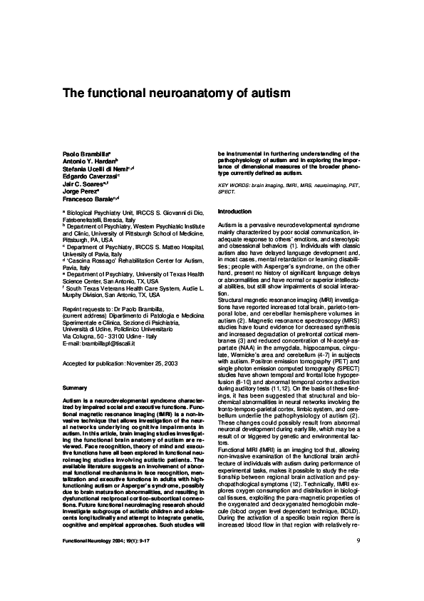 Neuroanatomy paper essay 06 image