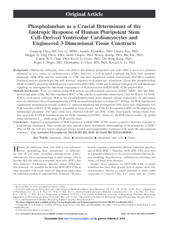 (PDF) Phospholamban as a crucial determinant of the inotropic response ...