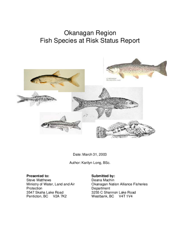 (PDF) Okanagan Region Fish Species at Risk Status Report Deana Machin