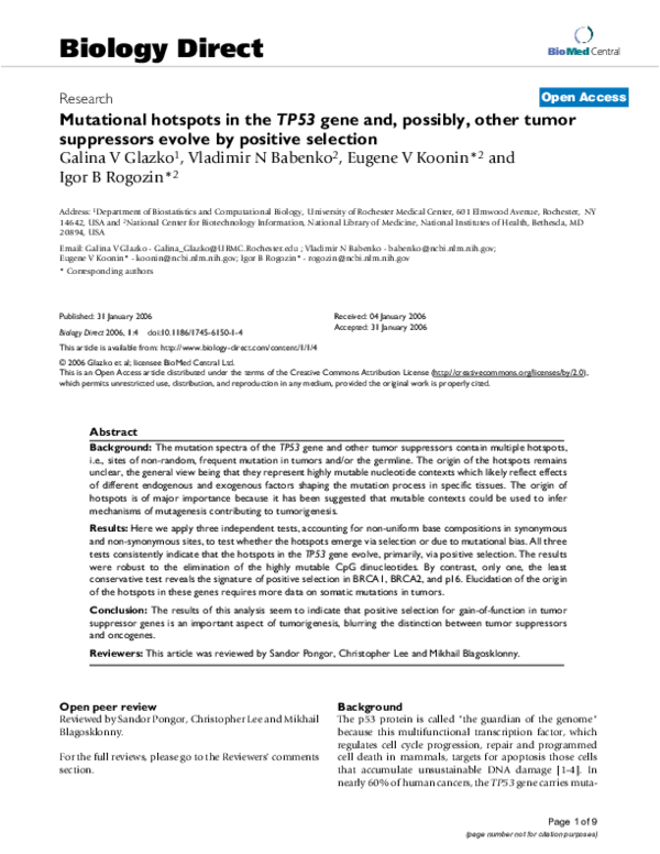 (PDF) Mutational hotspots in the TP53 gene and, possibly, other tumor ...