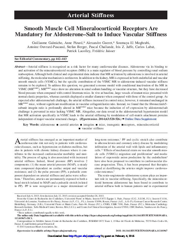 (PDF) Smooth Muscle Cell Mineralocorticoid Receptors Are Mandatory for ...