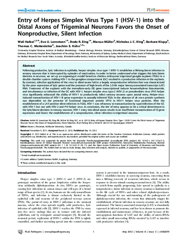 (PDF) Entry of Herpes Simplex Virus Type 1 (HSV-1) into the Distal ...