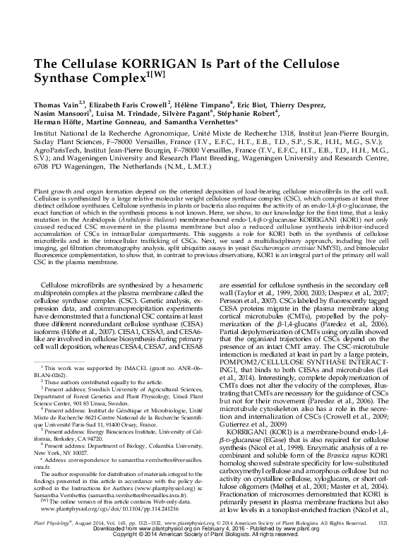 (PDF) The Cellulase KORRIGAN Is Part of the Cellulose Synthase Complex
