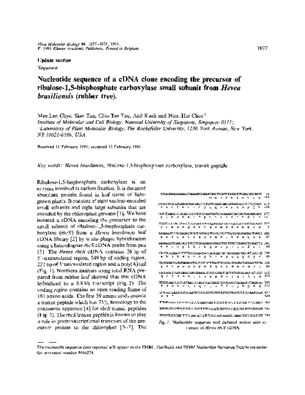 (PDF) Nucleotide sequence of a cDNA clone encoding the precursor of ...