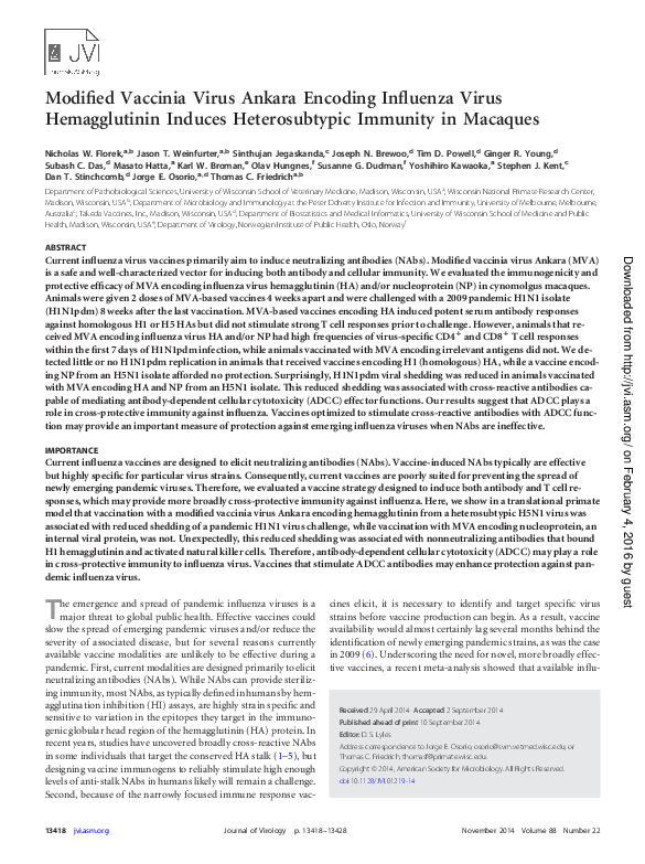 (PDF) Modified Vaccinia Virus Ankara Encoding Influenza Virus ...
