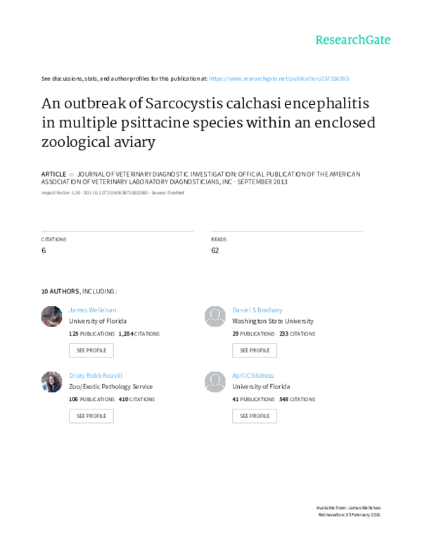(PDF) An outbreak of Sarcocystis calchasi encephalitis in multiple