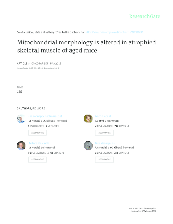 (PDF) Mitochondrial morphology is altered in atrophied skeletal muscle ...