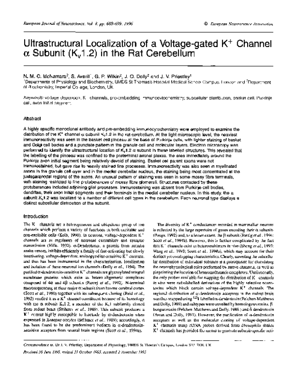 (PDF) Ultrastructural Localization of a Voltage-gated K + Channel a ...
