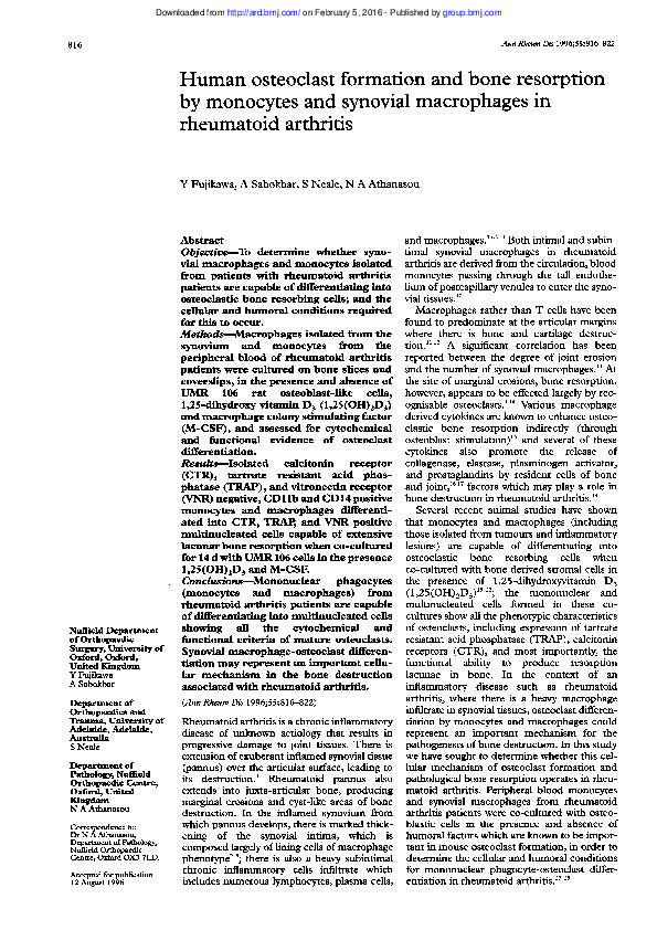 (PDF) Human osteoclast formation and bone resorption by monocytes and ...