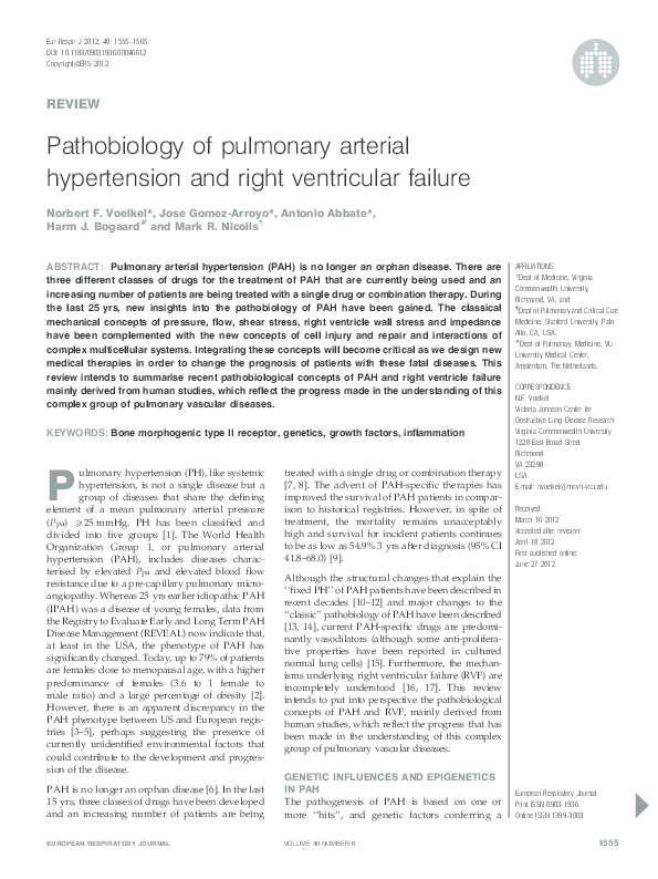 (PDF) Pathobiology of pulmonary arterial hypertension